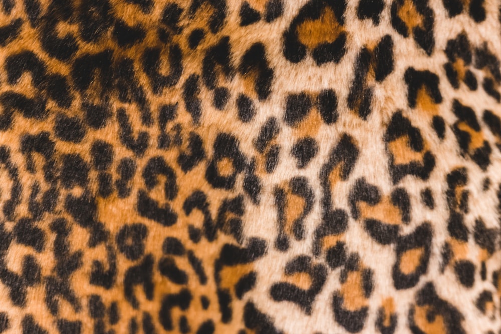 black and brown leopard print garment