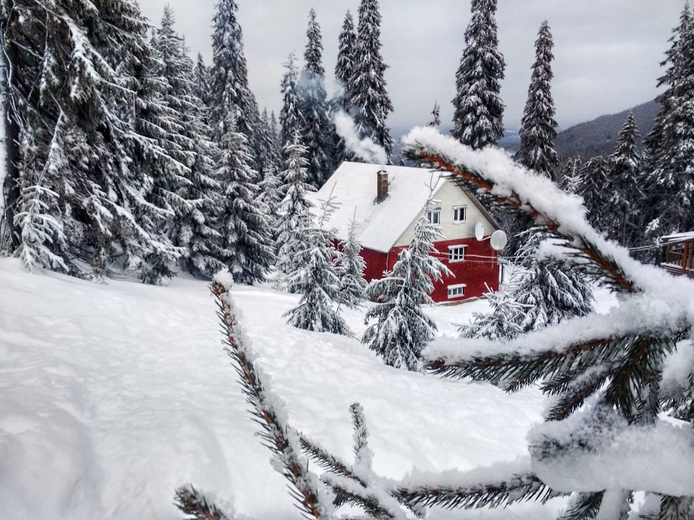 white and red house