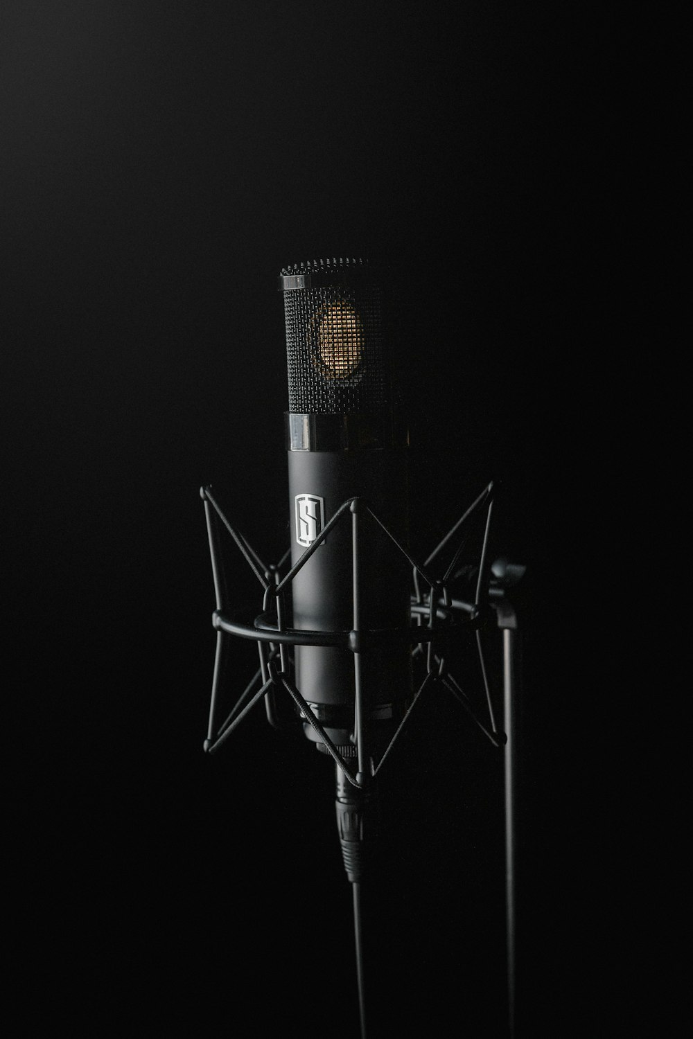 black condenser microphone on black background