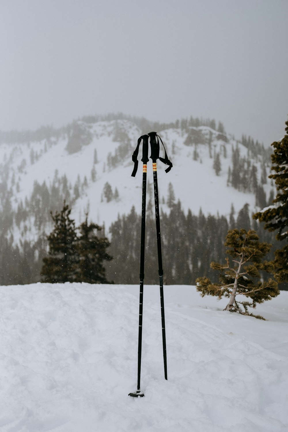 two black ski poles