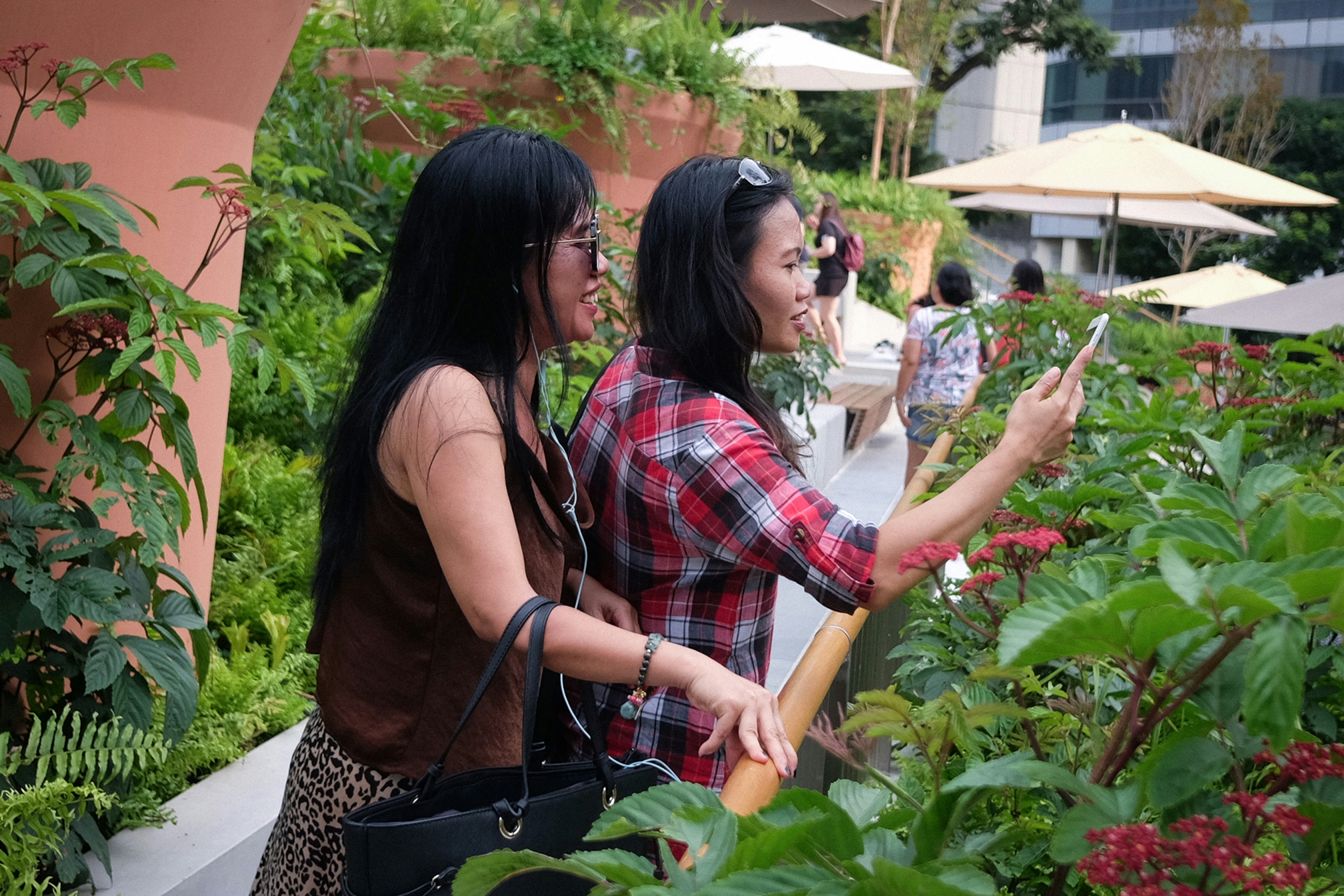 Mead Botanical Garden Pictures Download Free Images On Unsplash