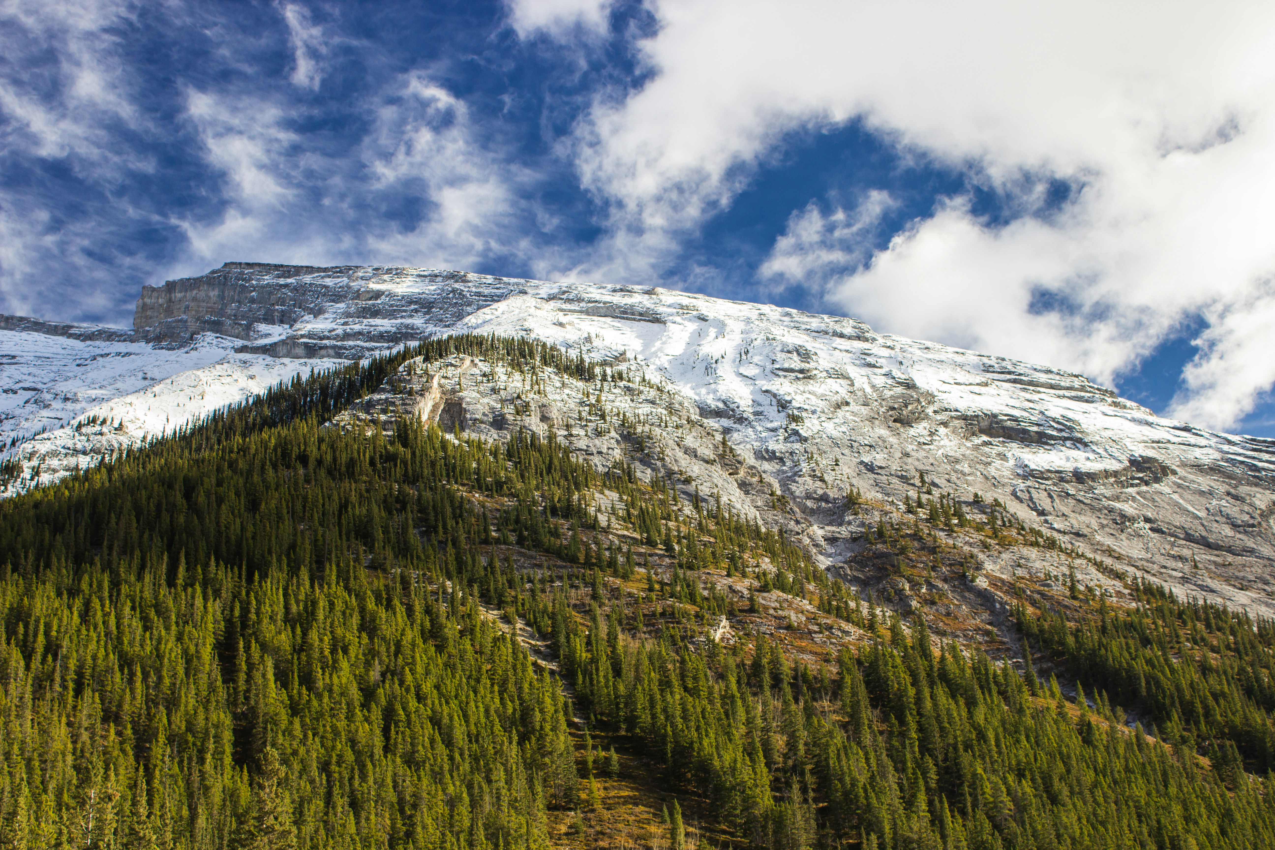 Photo by hiccupfromberk