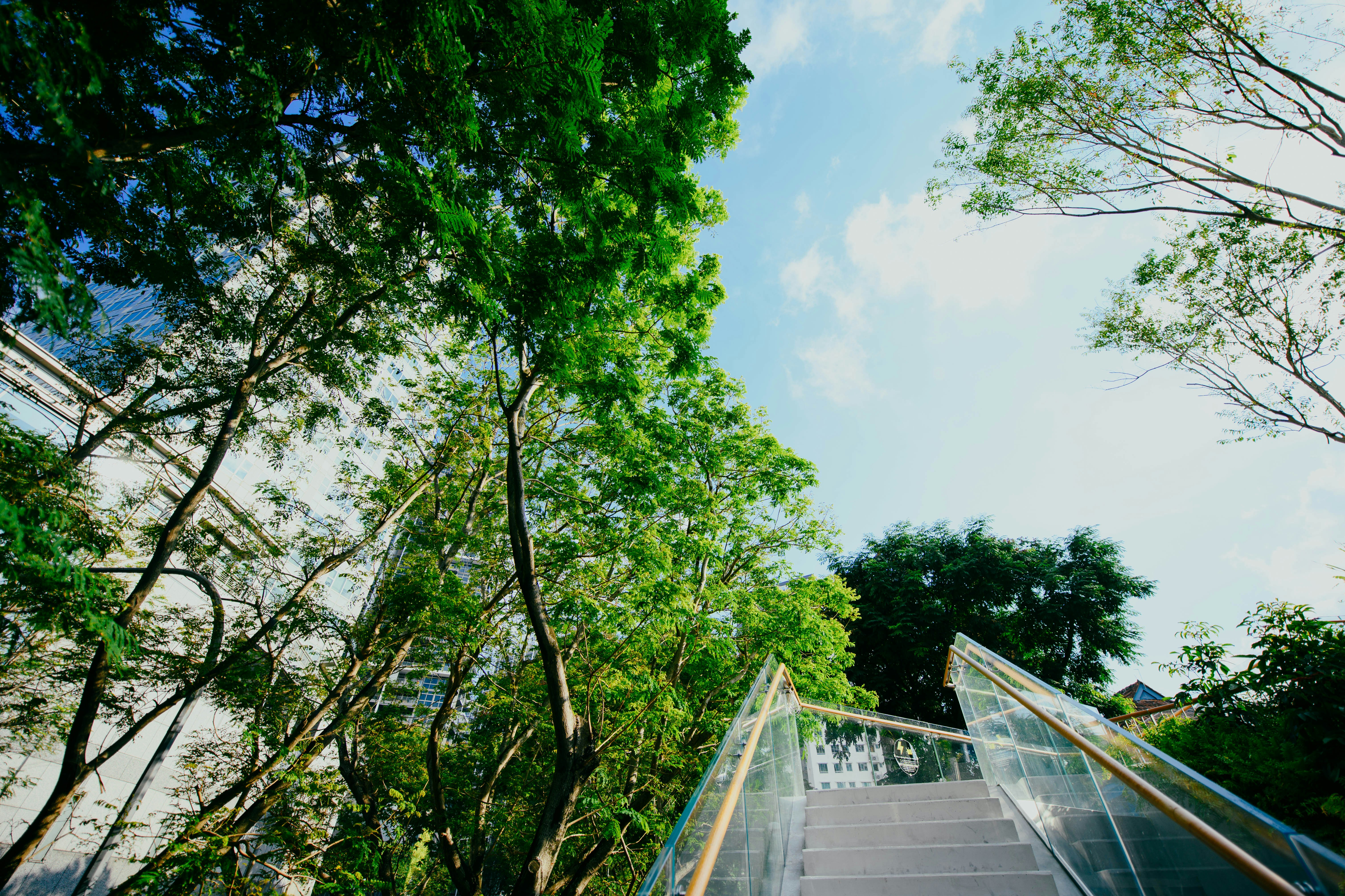 Photo by chuttersnap