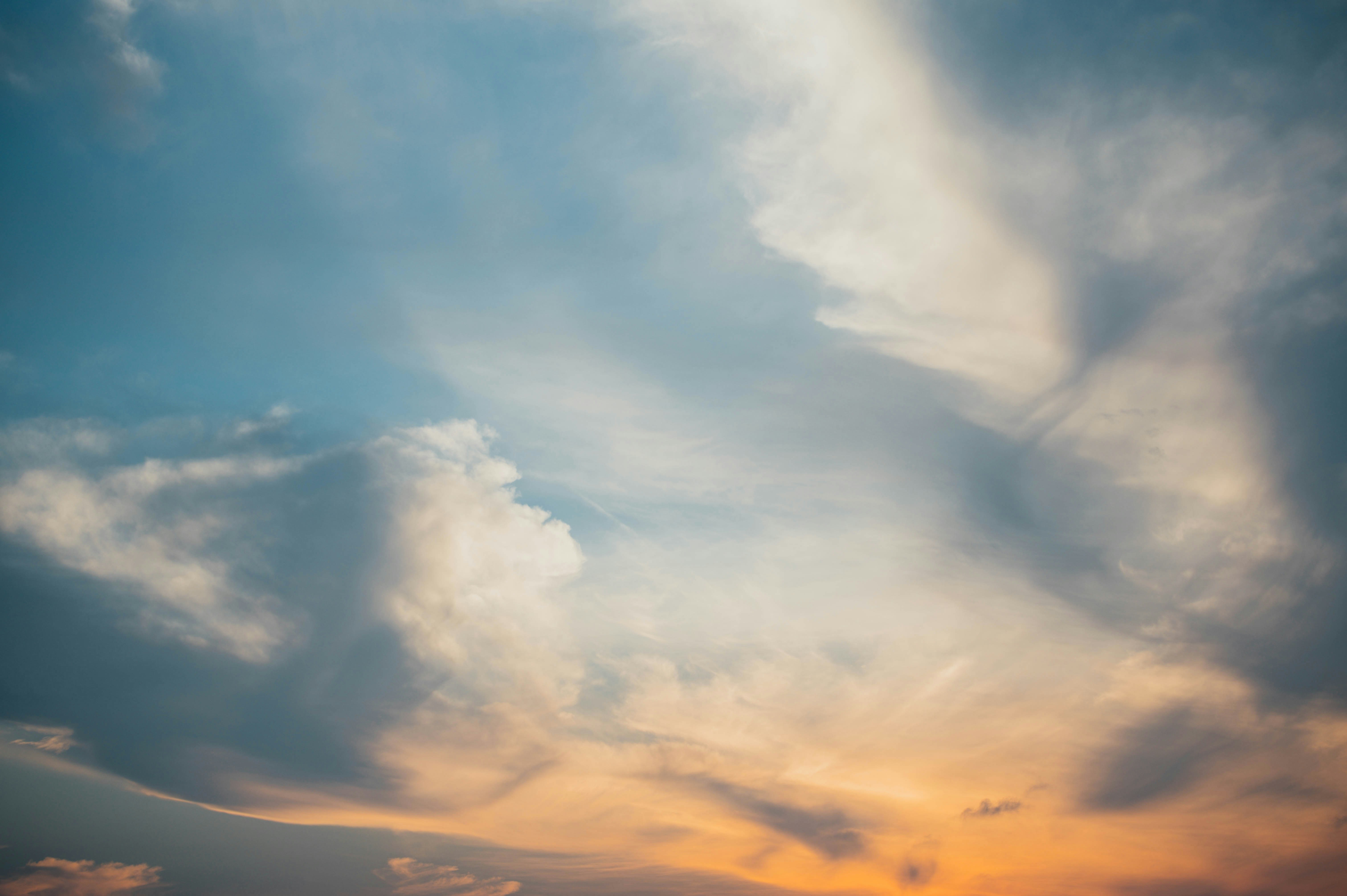 Photo by chuttersnap