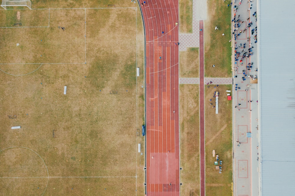 people gathering near soccer field at daytime