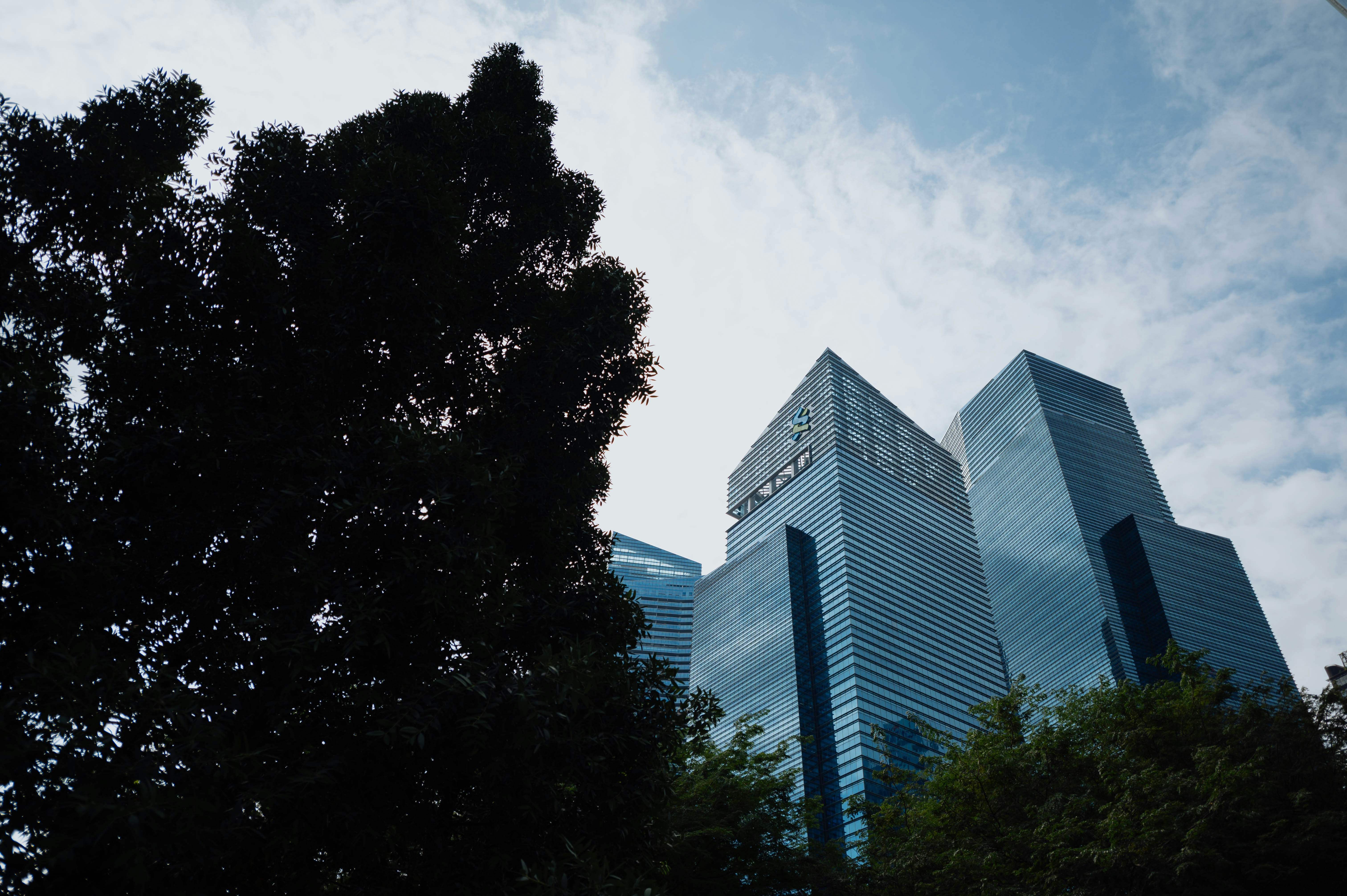 QMCO Investors Have Opportunity to Lead Quantum Corporation Securities Fraud Lawsuit with the Schall Law Firm
