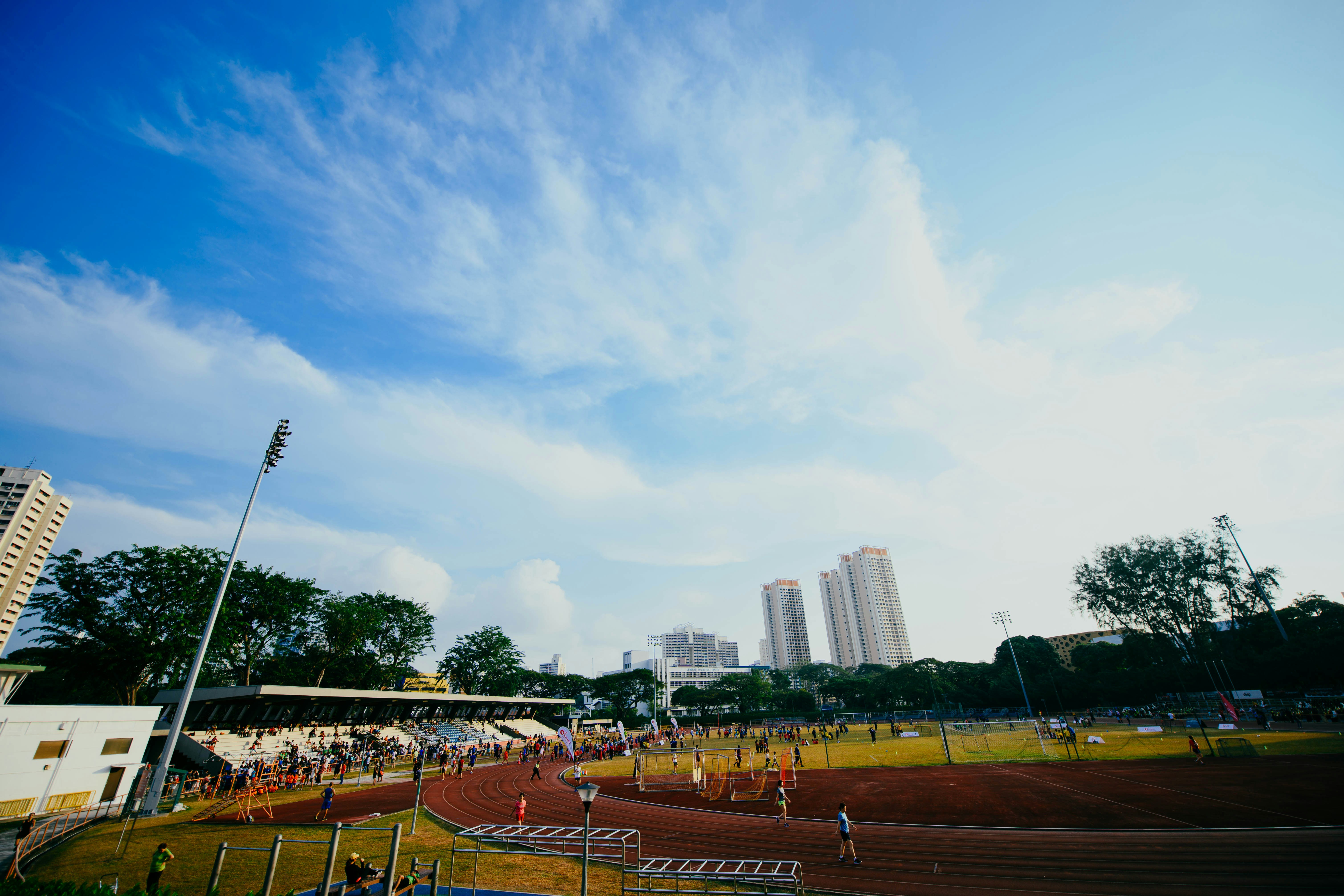 aerial view of field at daytime