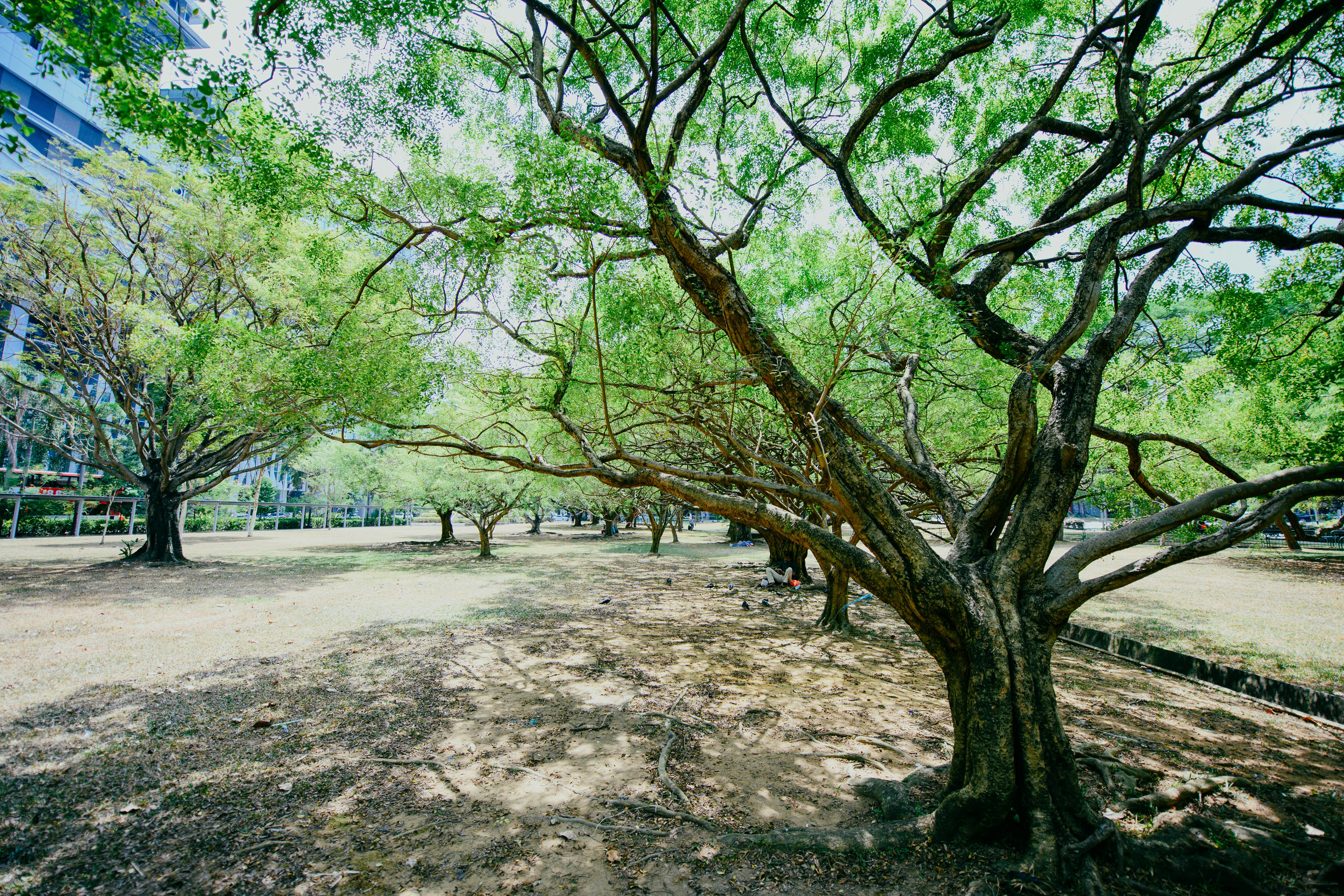 Photo by chuttersnap