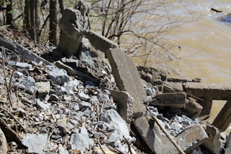A pile of rubble consisting of broken concrete slabs and stones is piled near the edge of a murky body of water. There are bare branches from nearby trees reaching over the debris, and the scene suggests erosion or destruction.