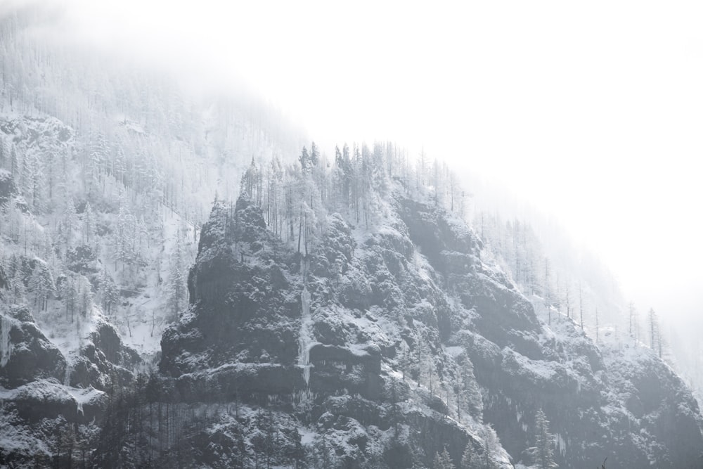 grayscale photo of mountain range