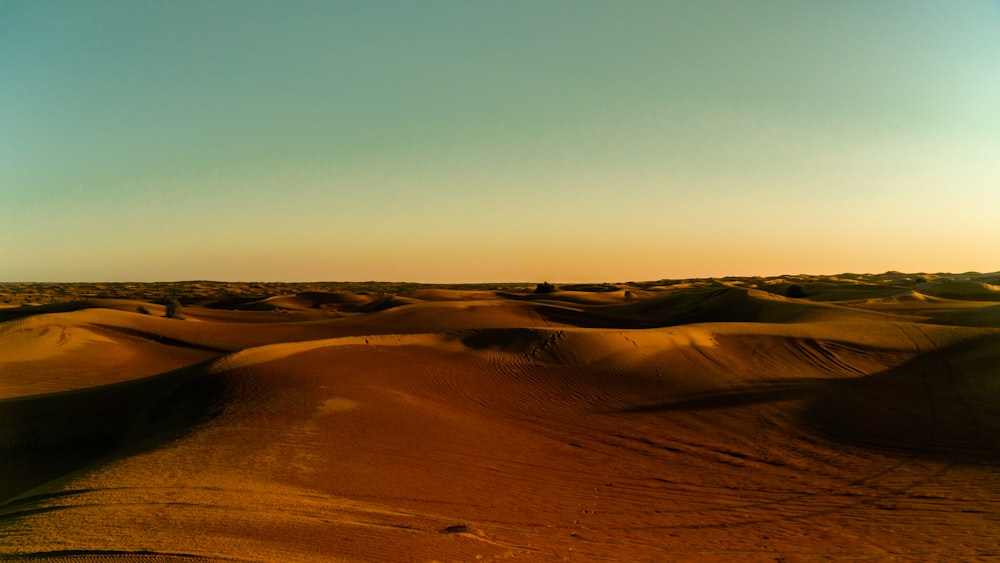 brown dessert