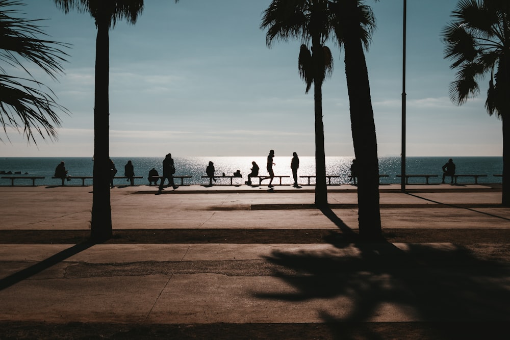 silhouette of people near the body of water during daytime