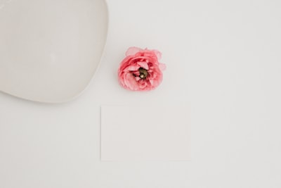 red petaled flower delicate zoom background