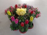 An arrangement of colorful flowers in pots.