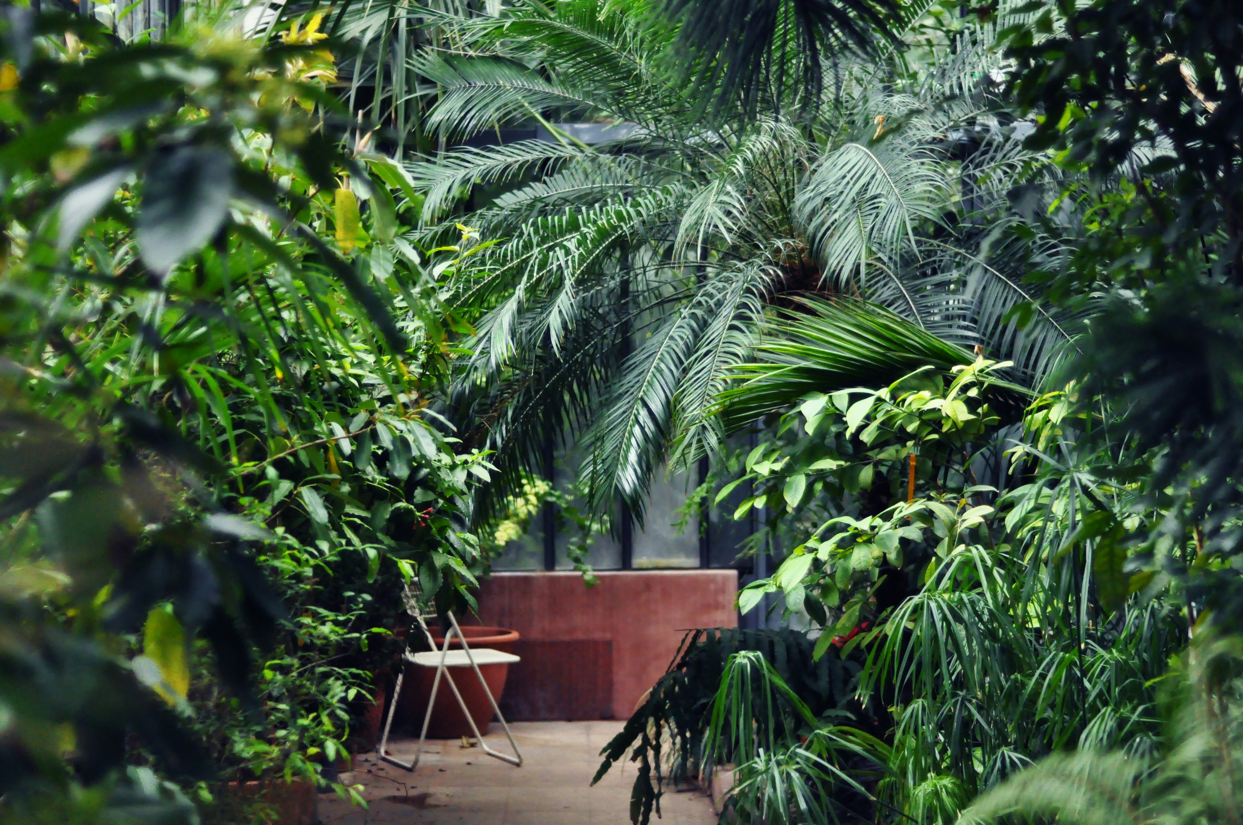 chair near wall and trees