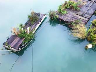 A partially submerged wooden structure with green plants growing on it is floating in clear turquoise water. The structure appears weathered and abandoned, surrounded by aquatic vegetation.