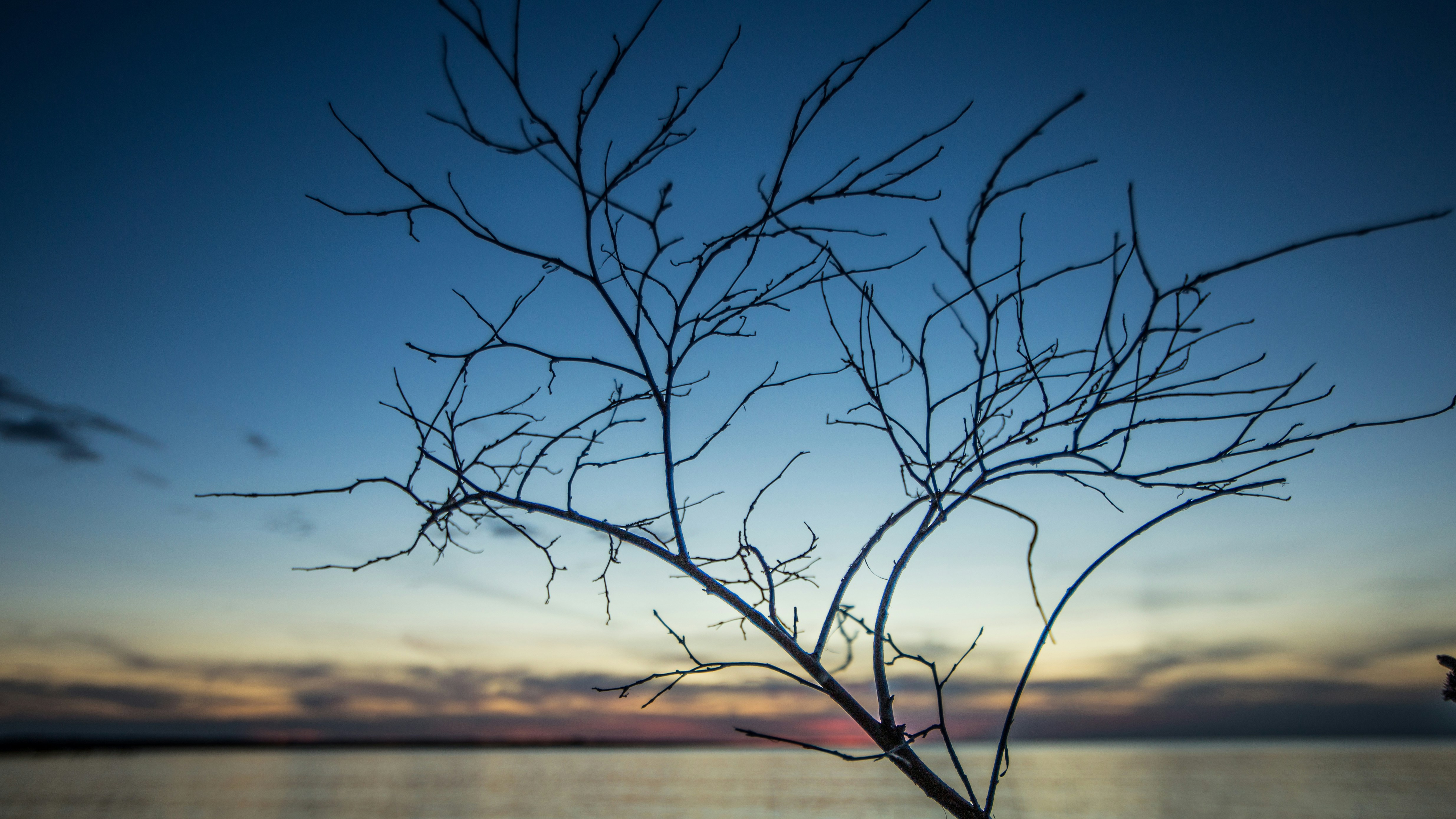 Photo by tlmpictures