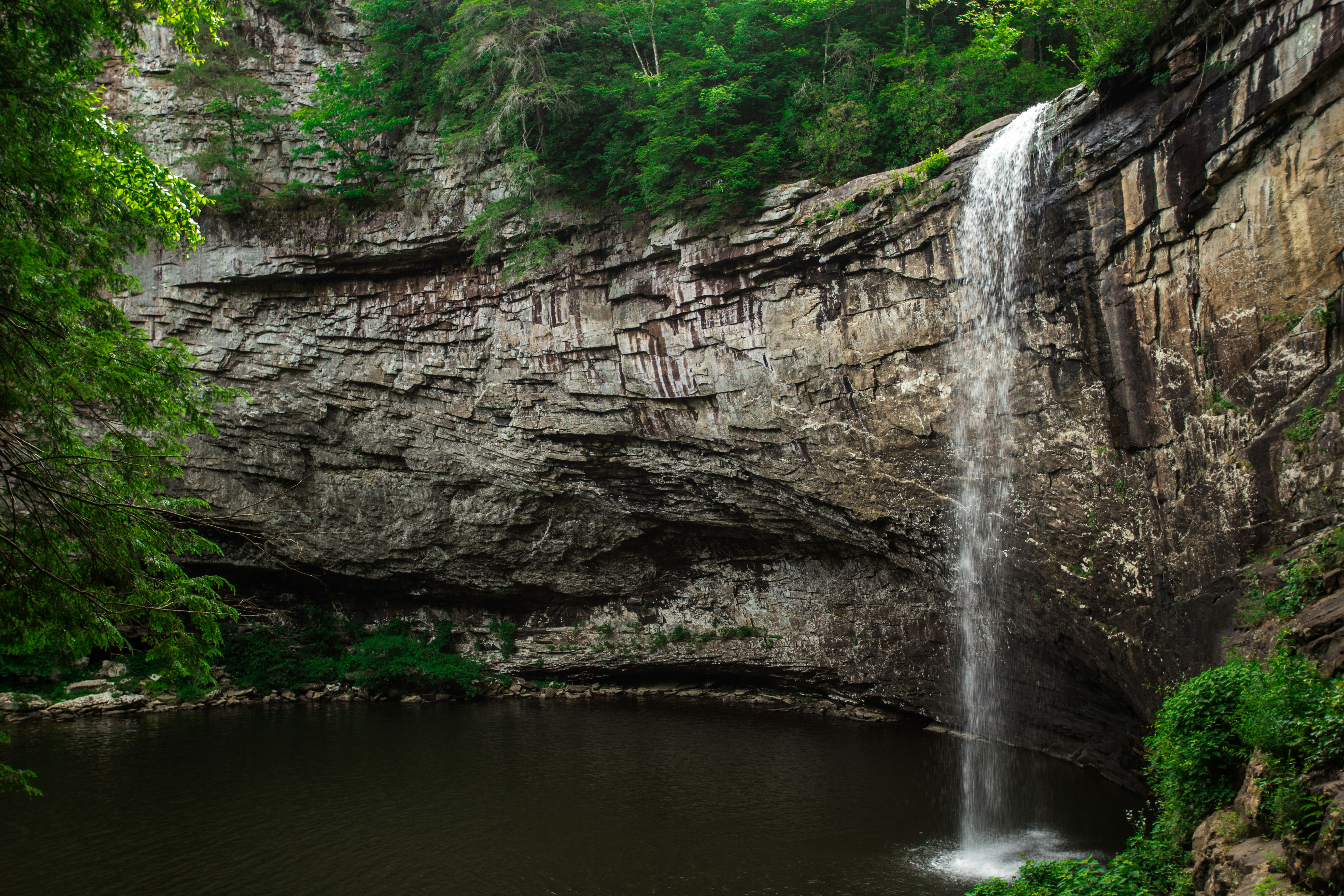 Photo by tlmpictures