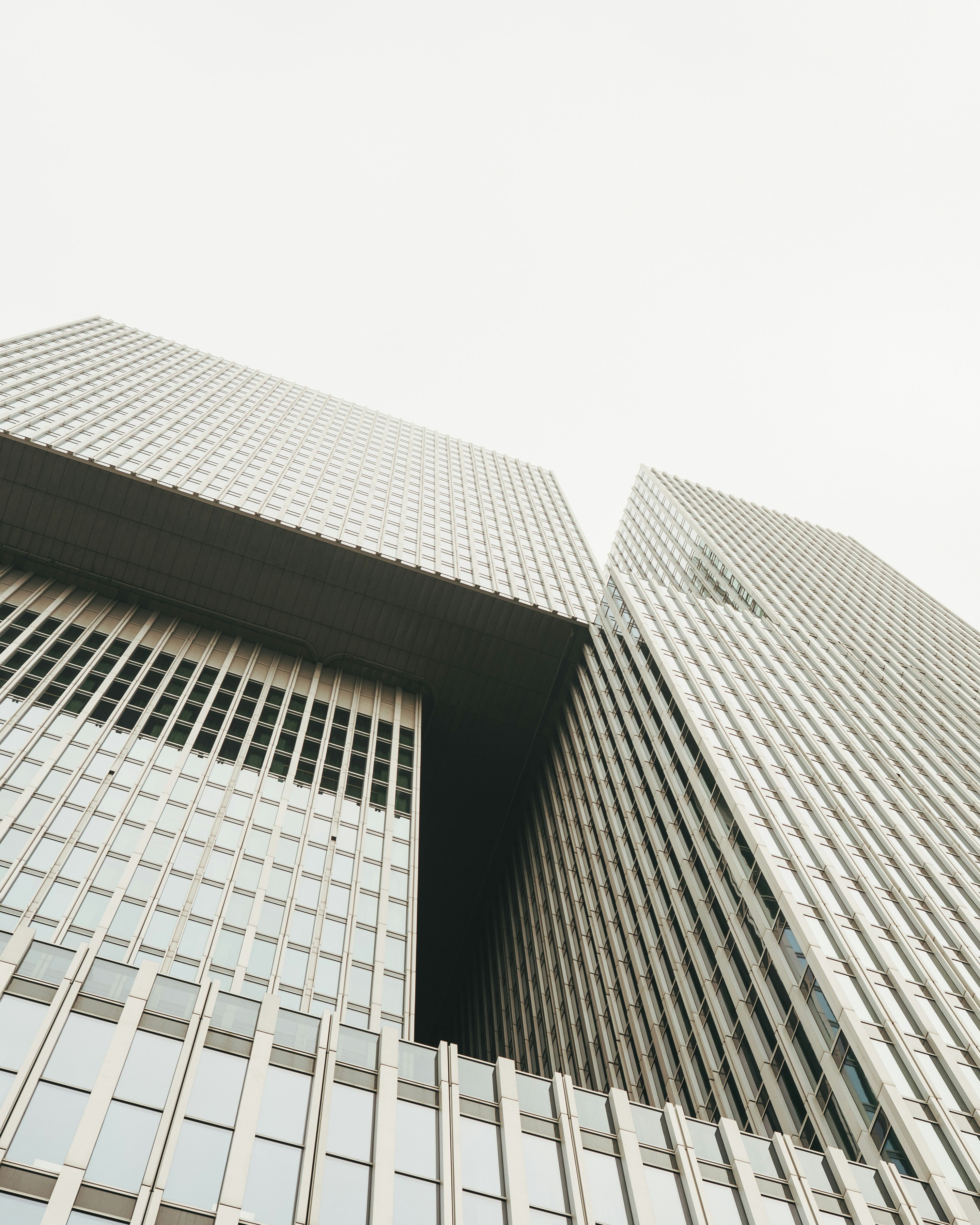 Photo by neudeckerfelix