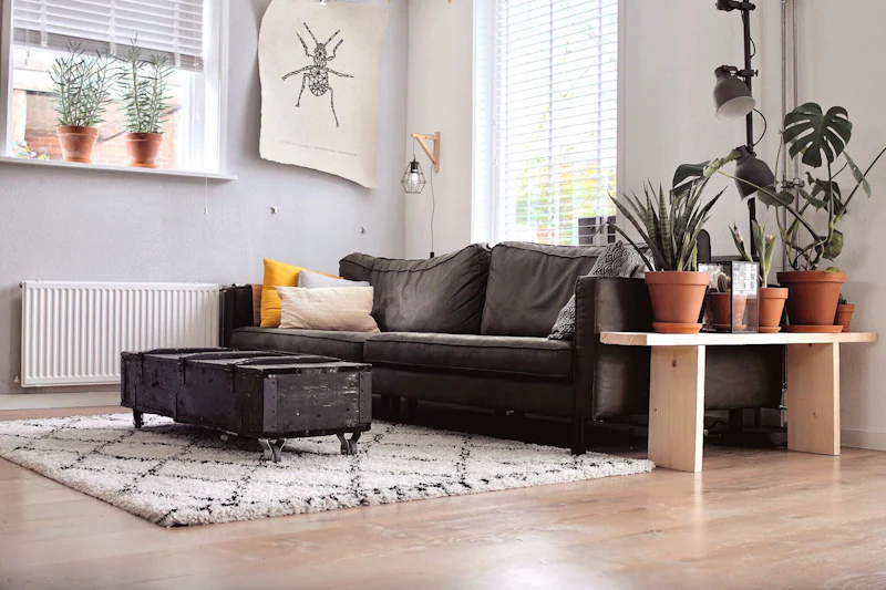 Moderni olohuone ja kestävä matto