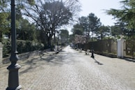 A quiet tree-lined pathway within the community, framed by elegant black and gold street lamps.