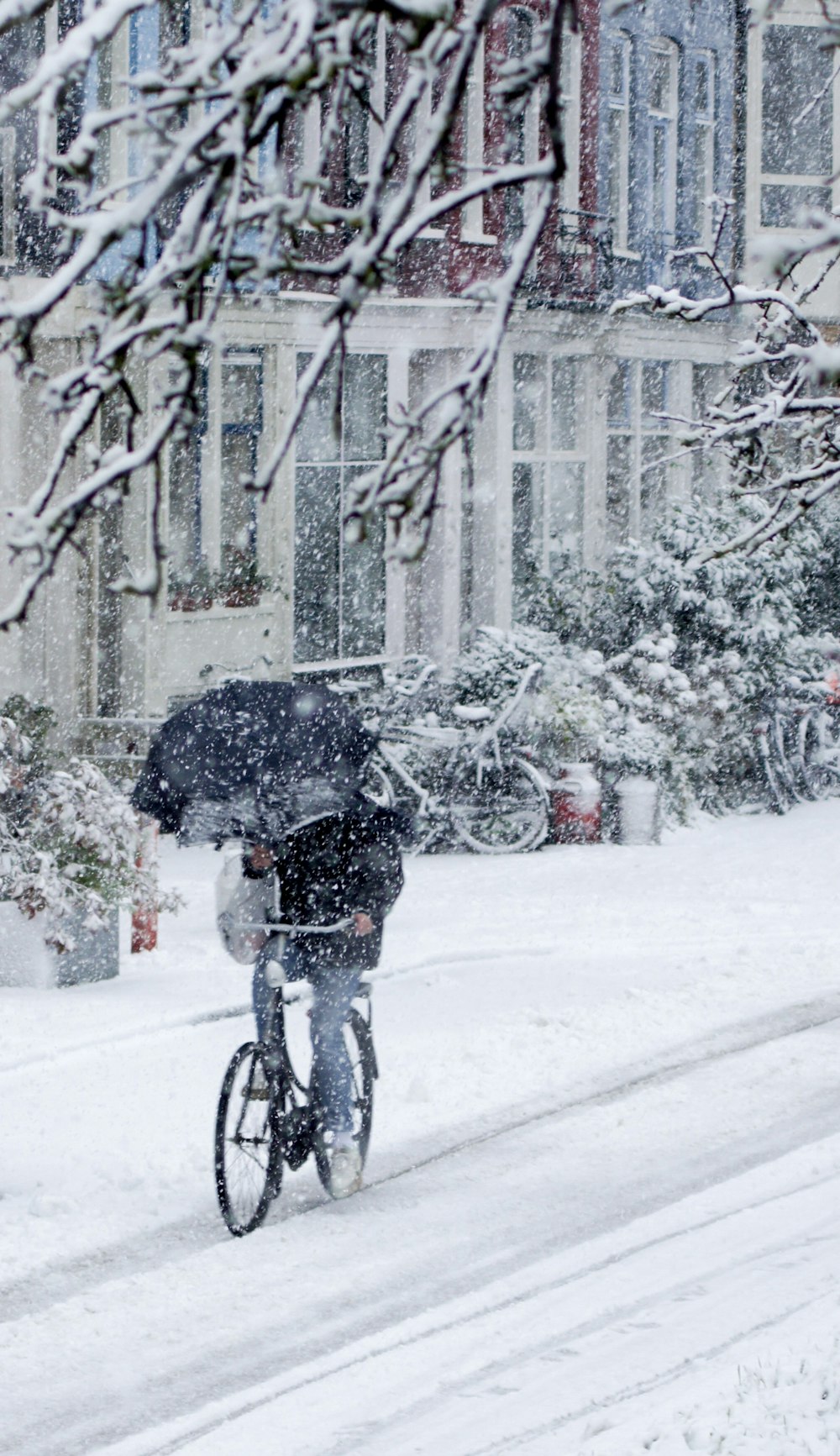 person in black jacket driving bicycle holding black umbrella under snowy weather