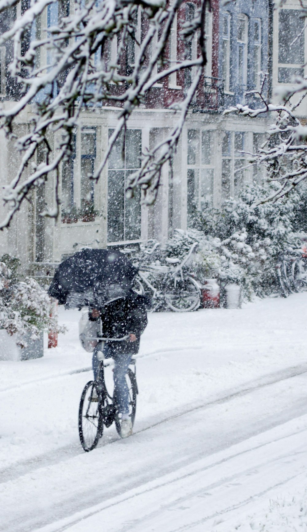 Persona con chaqueta negra conduciendo bicicleta sosteniendo paraguas negro bajo clima nevado