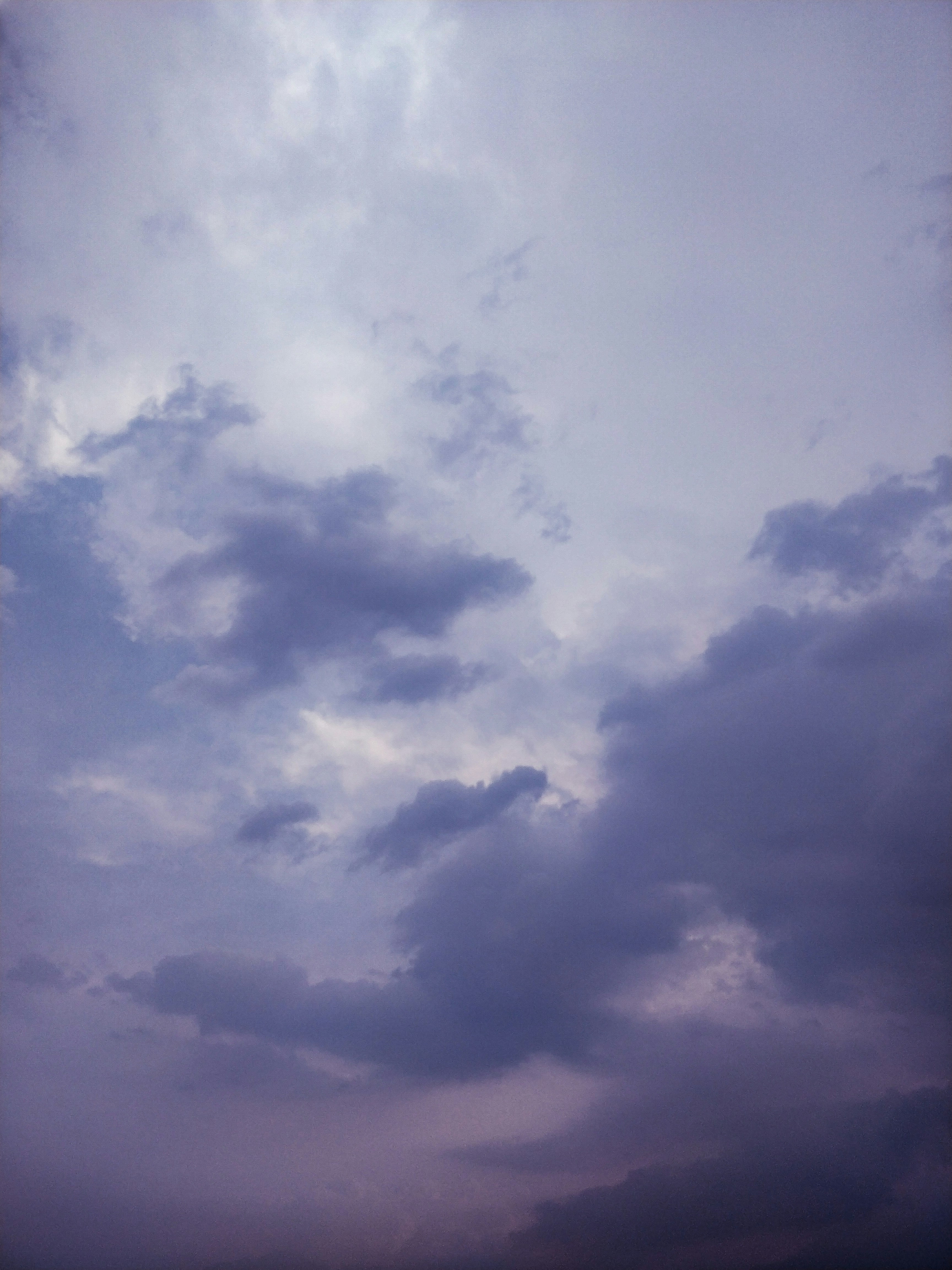 Photo by sharadmbhat