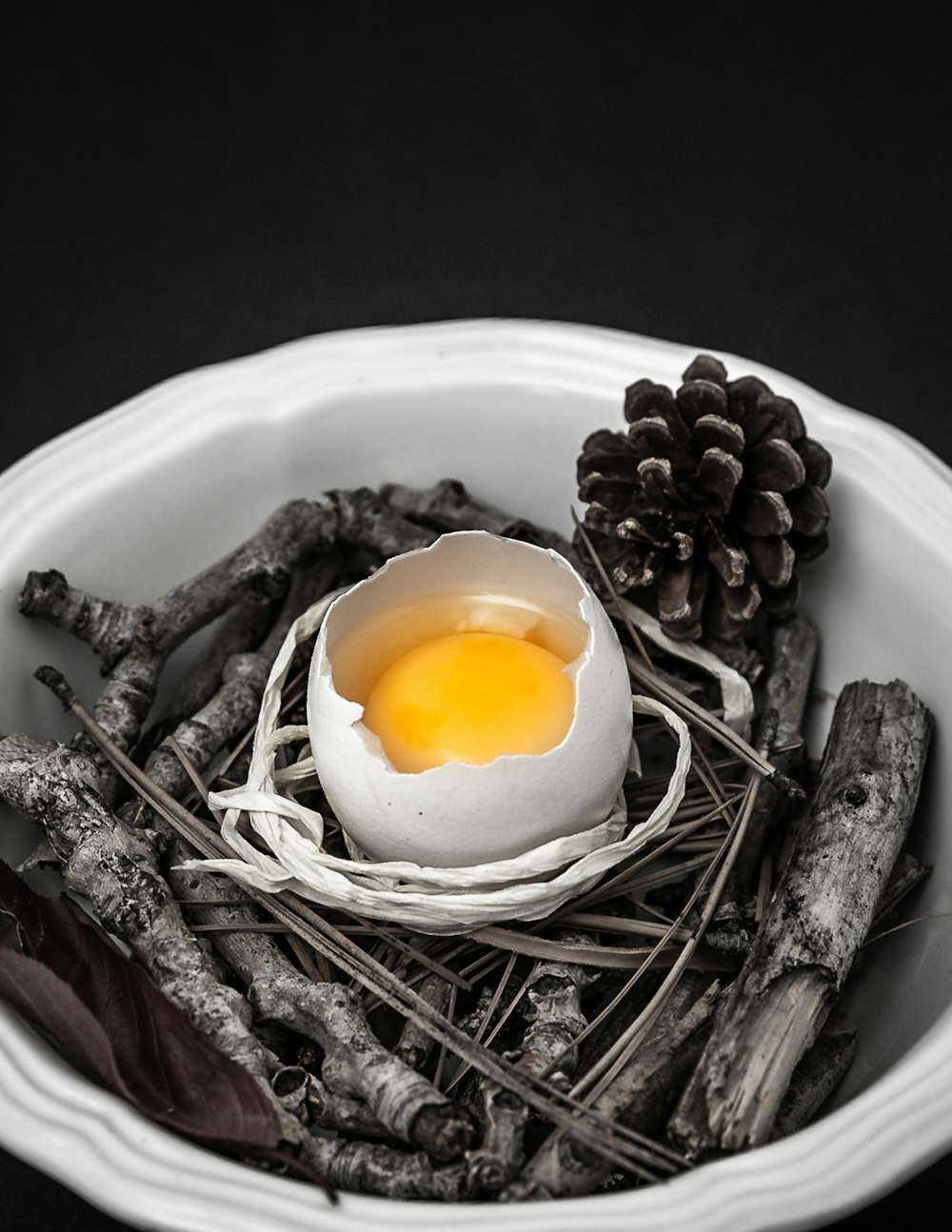 half-opened egg on bowl with tree twigs