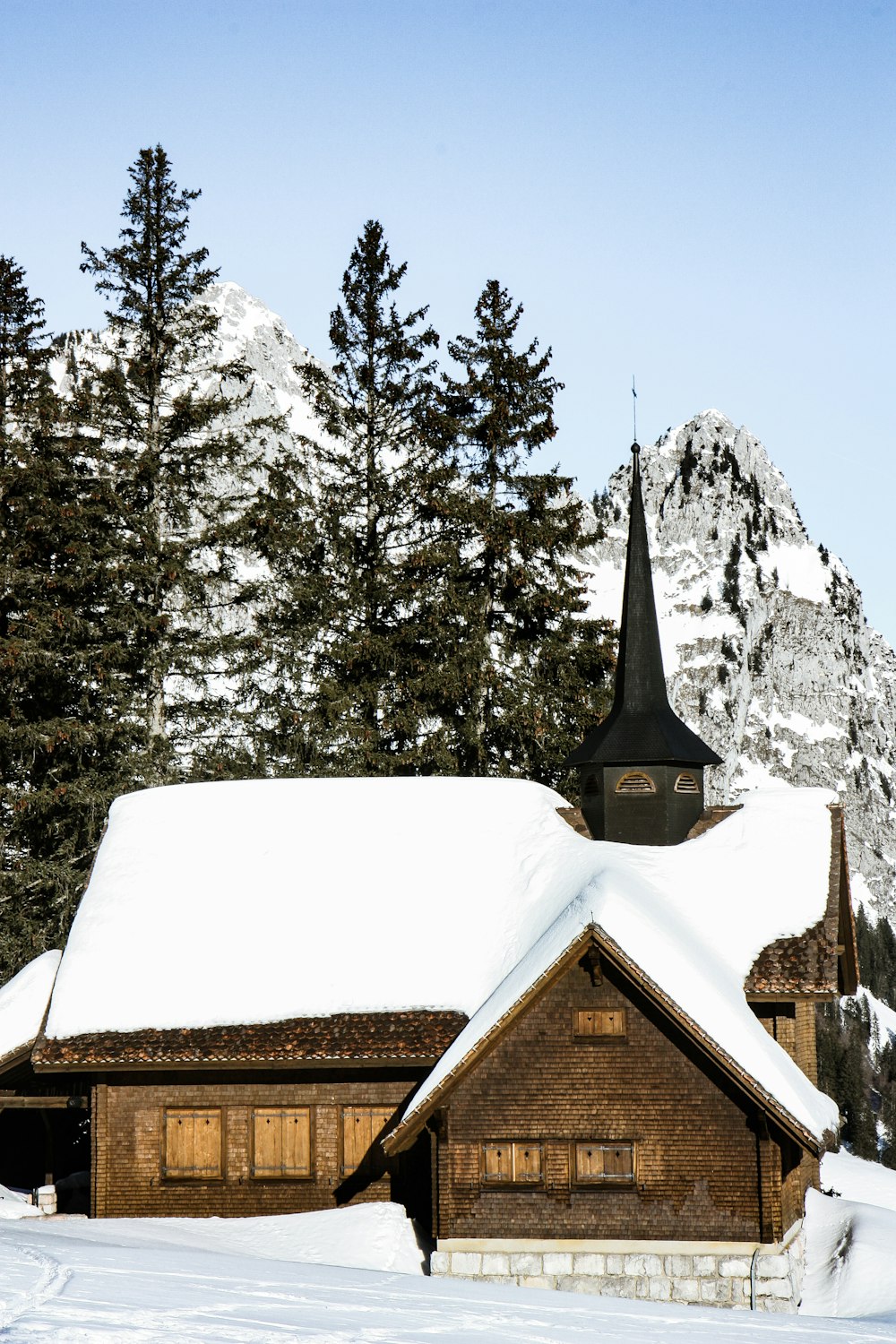 Casa coberta de neve branca e pinheiro sob o céu azul