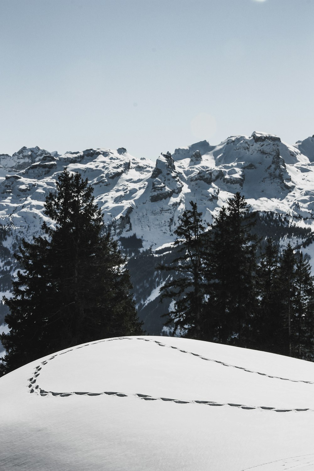 snow covered ground