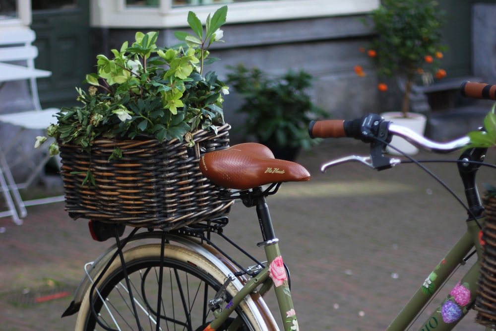 green beach cruiser with basket