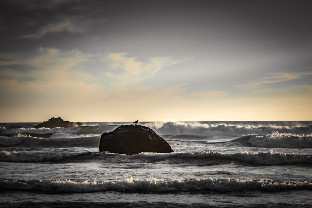 black rock in beach