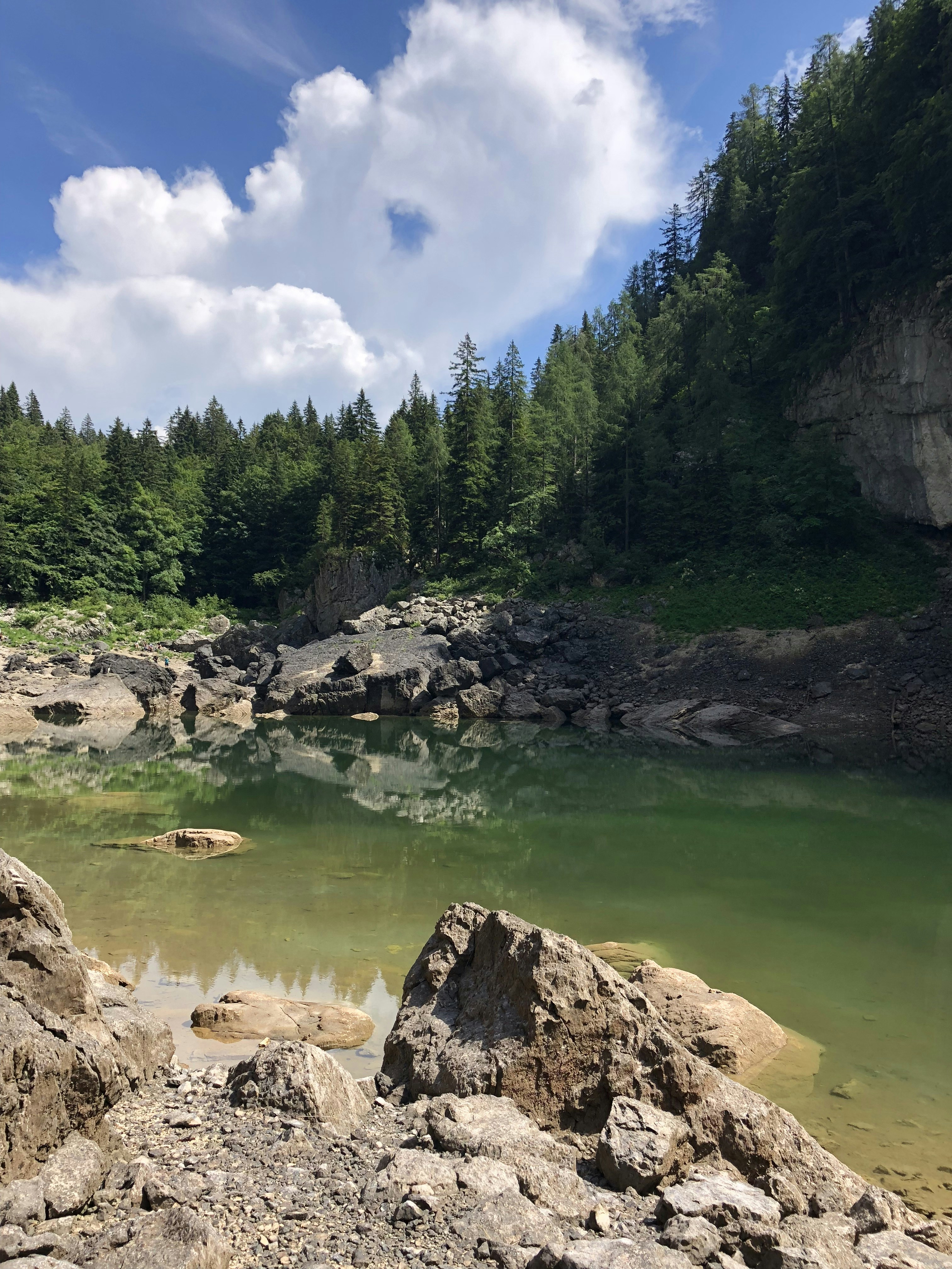river near trees during daytime