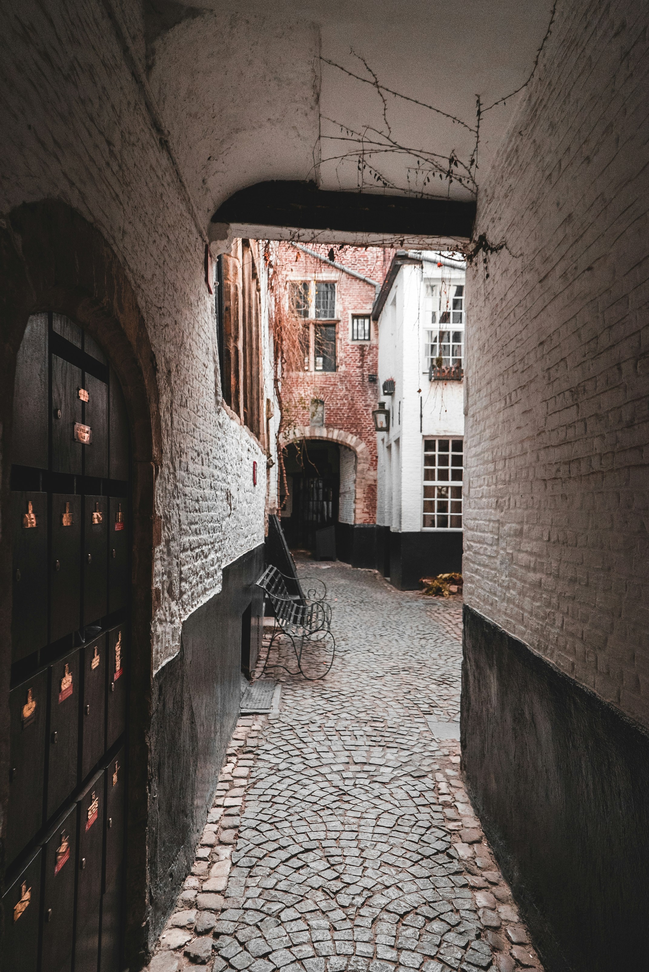 Photo by jonasjaekenmedia