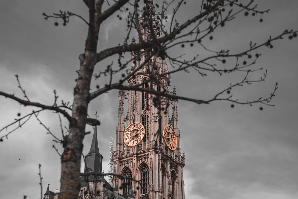 cathedral during nighttime