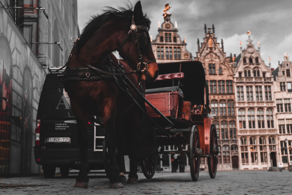 brown horse pulling carriage during daytime