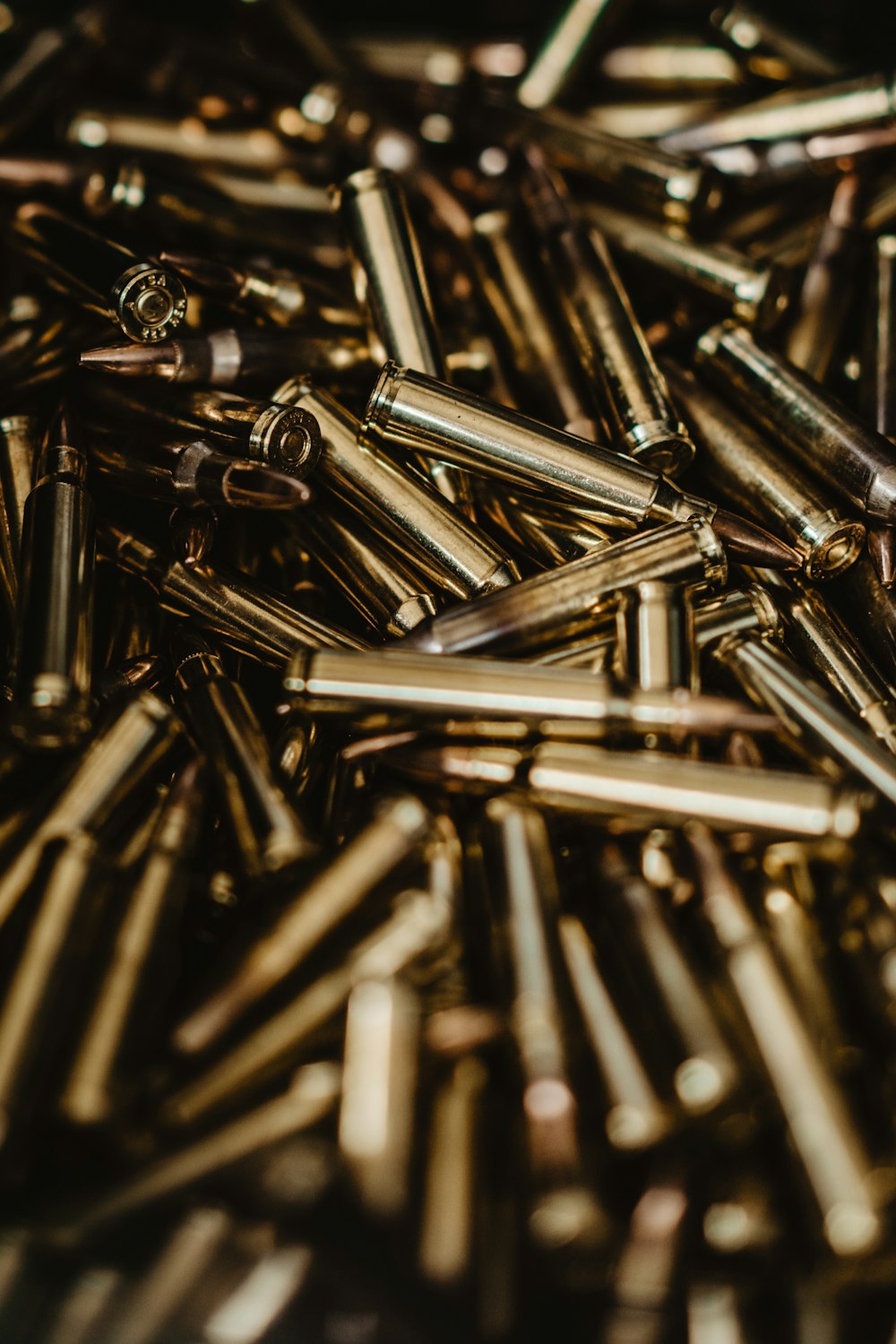 close-up photography of rifle bullets