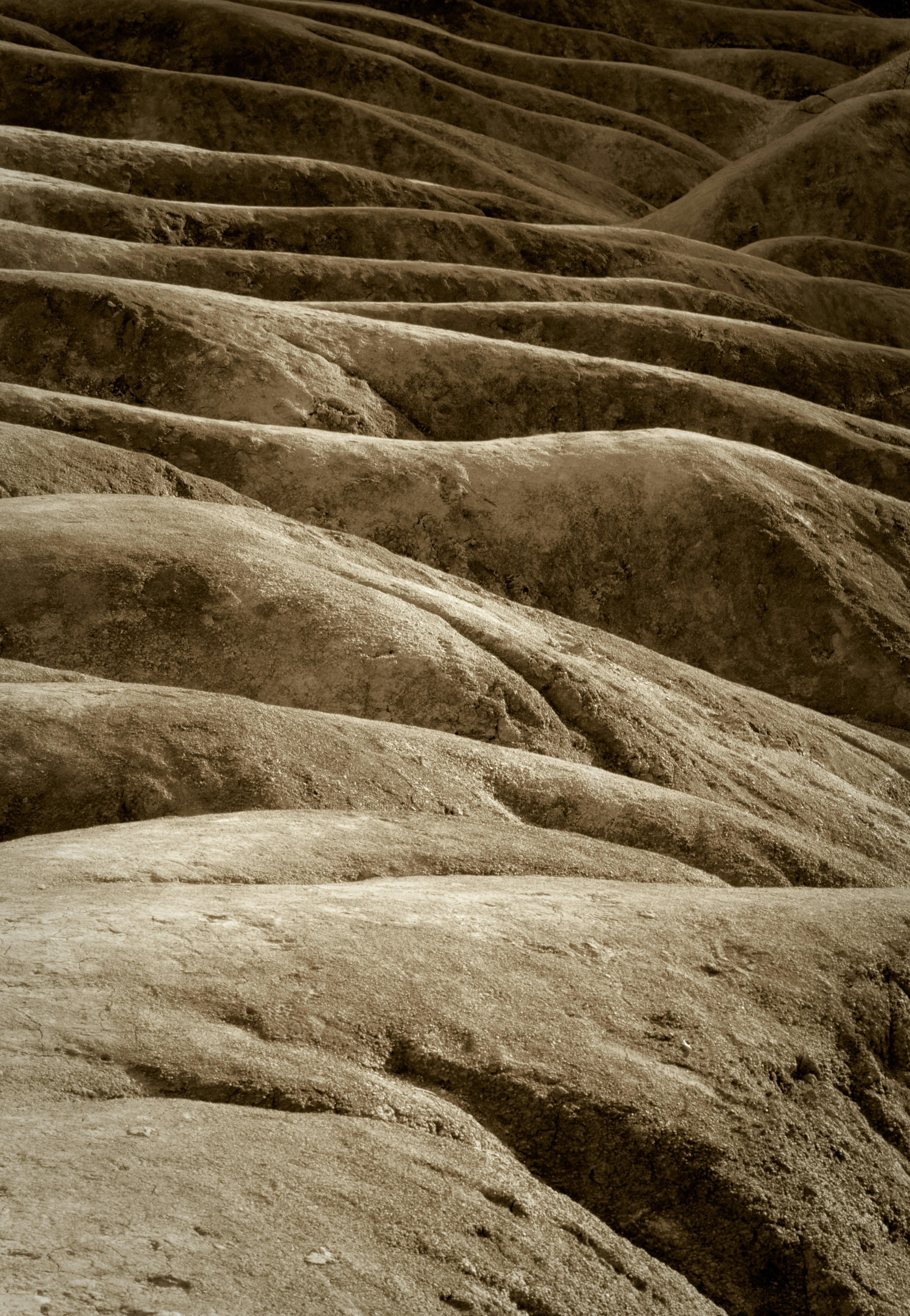 Photo by ronwhitaker