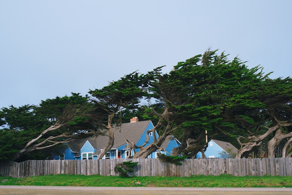 green trees beside blue and gray house during daytime