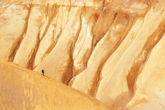 A lone person is hiking across a vast, barren landscape composed of steep, eroded formations with layered shades of brown and tan. The terrain appears to be a natural earth formation, possibly a canyon or desert badlands.