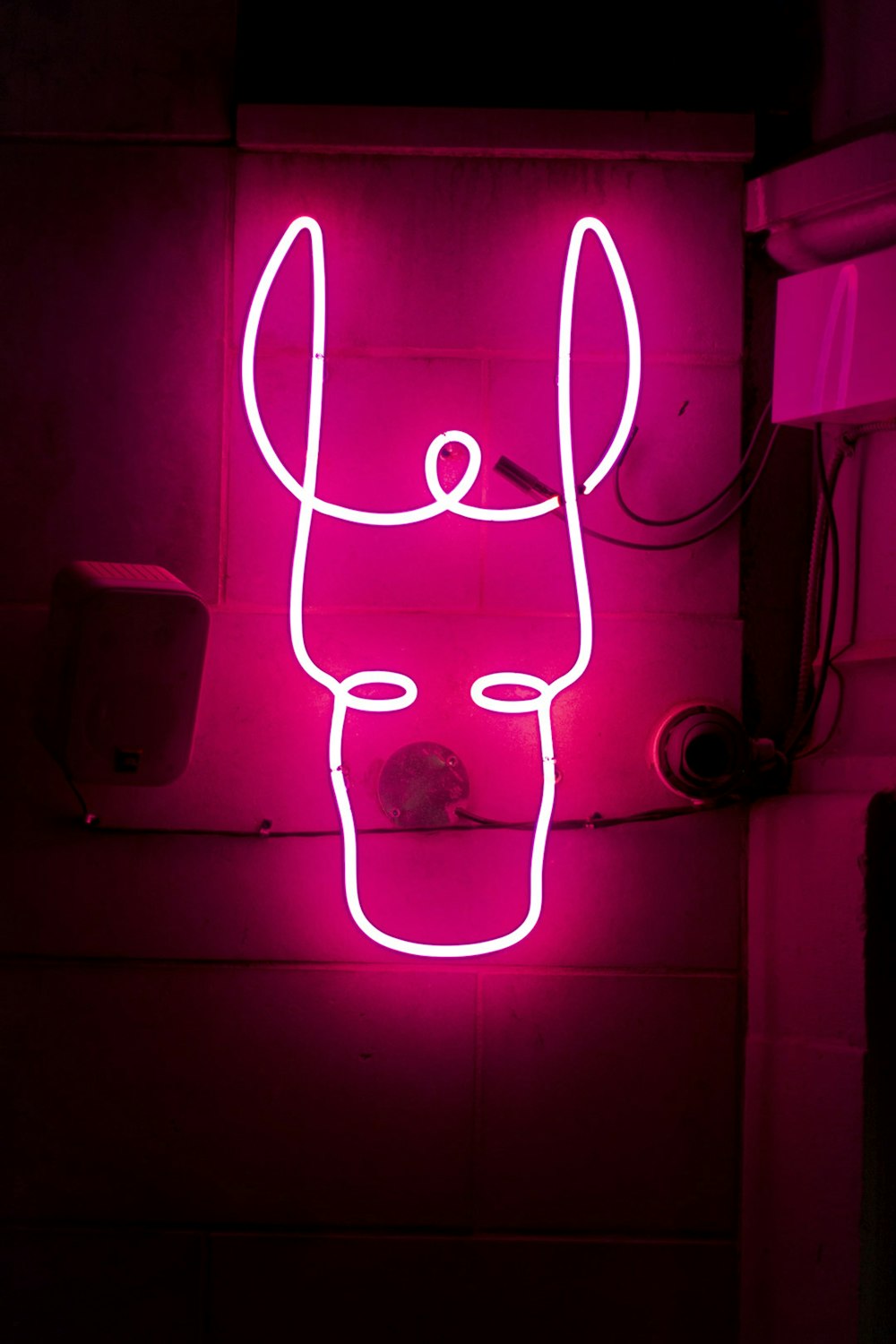 pink neon sign