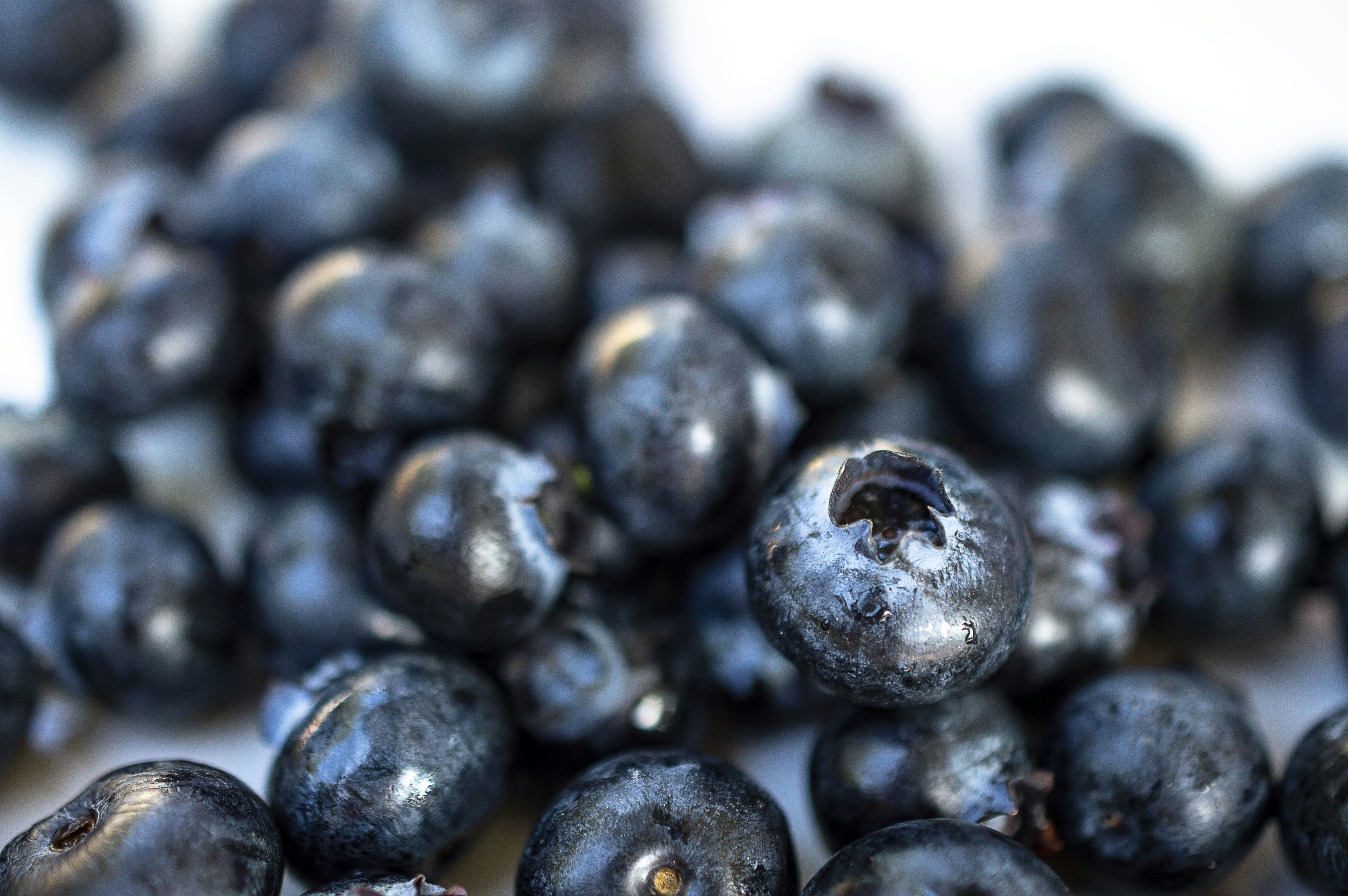 Photo by saracervera