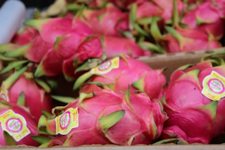 Bright pink dragon fruits with green-tipped scales are piled up in a cardboard box. Each fruit has a sticker label attached, providing product information.