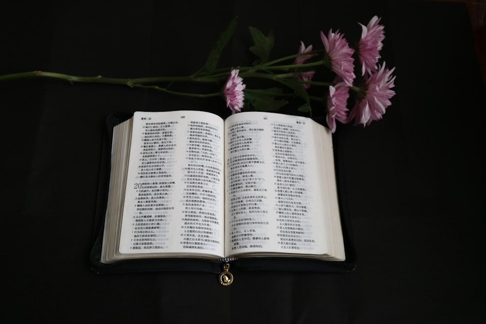 white book beside purple flowers