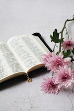 white book beside pink flowers