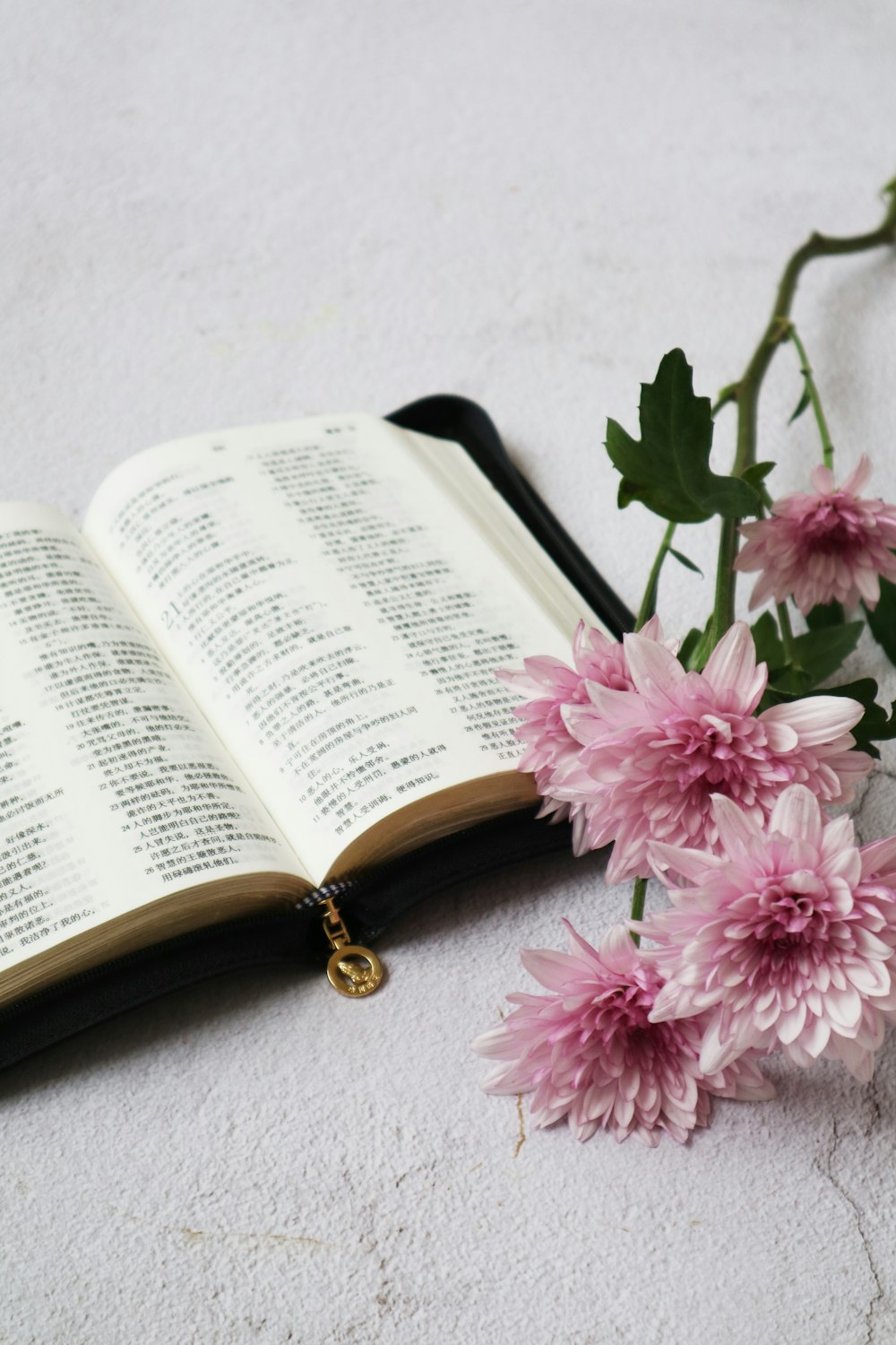 white book beside pink flowers