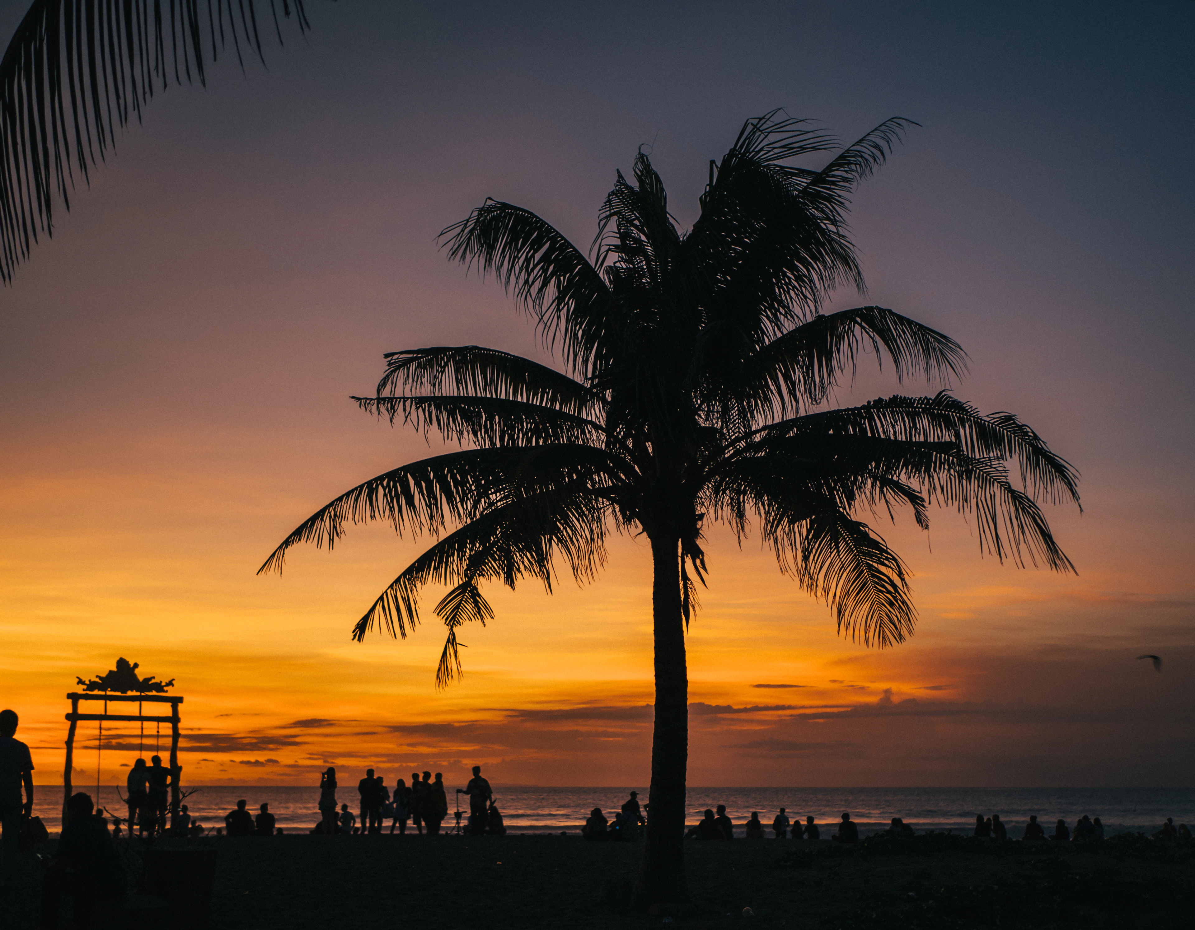 Palm tree silhouette against a golden Bali sunset