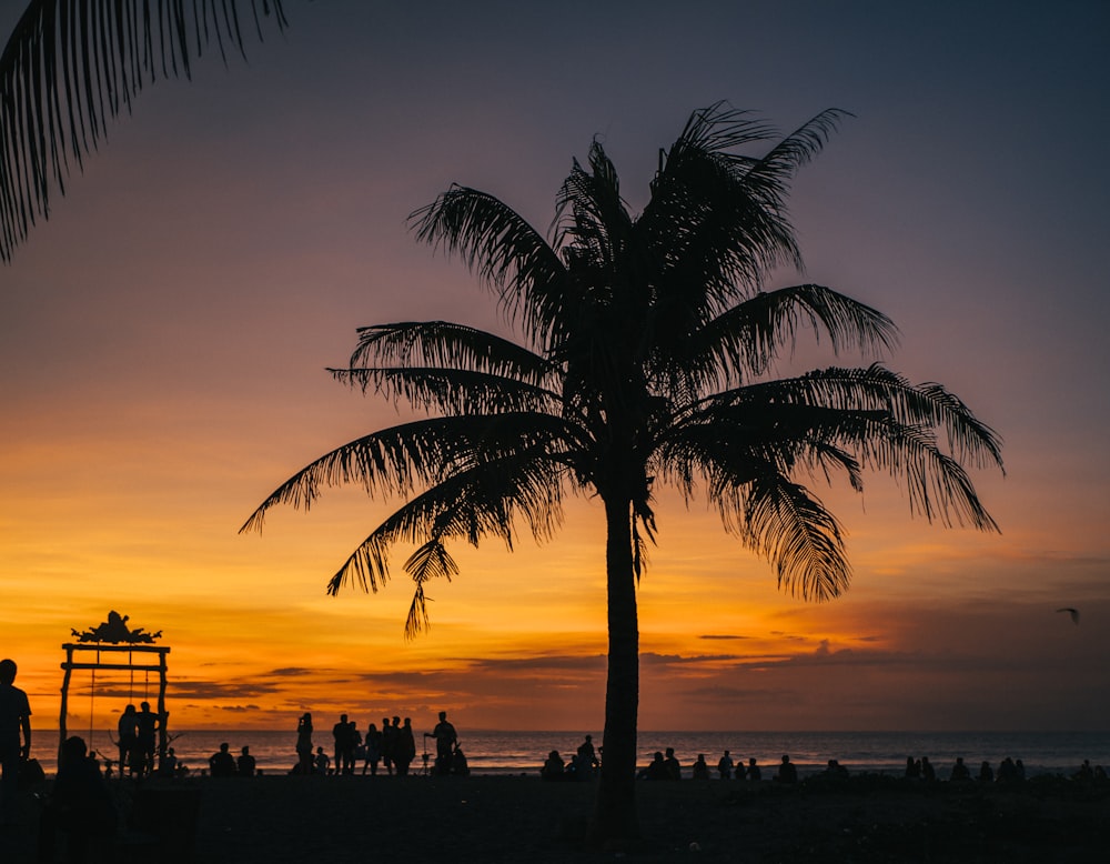 silhouette of palm tree and people on beach