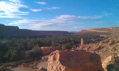 A panoramic view of a palm grove blending into rocky mountains.